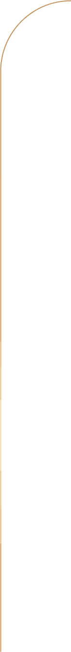 slider line rigth.png